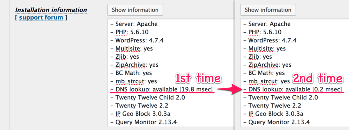 DNS reverse lookup